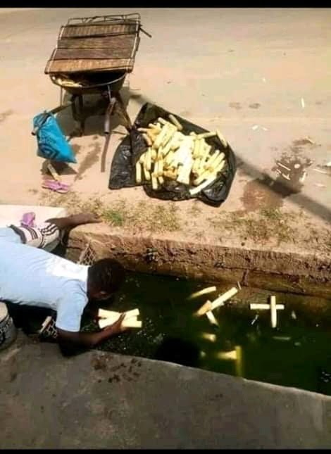 Sugar Cane Seller Picks Fallen Sugar Cane From The Gutter To Sell To The Public